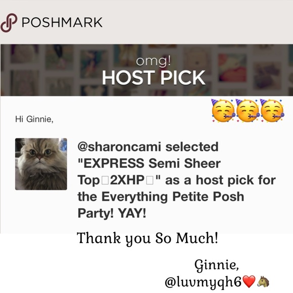 EXPRESS Semi Sheer Top🎉4X HP🎉 - Picture 5 of 5